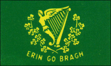 Flagge Fahne Irland-Erin go Bragh 90x60 cm