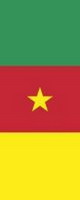 Bannerfahne Kamerun Premiumqualität