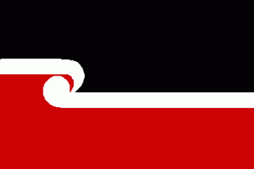Flagge Fahne Neuseeland Maori 90 x 150 cm