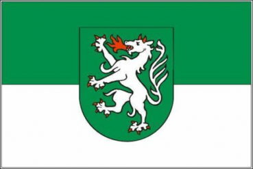 Tischflagge Steyr 10x15cm mit Ständer Tischfahne Miniflagge