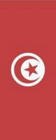 Bannerfahne Tunesien Premiumqualität