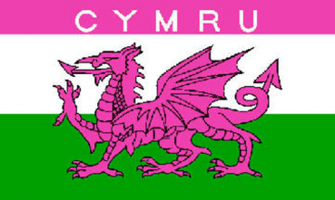 Flagge Fahne Wales Cymru Pink Rosa 90x150 cm Drache