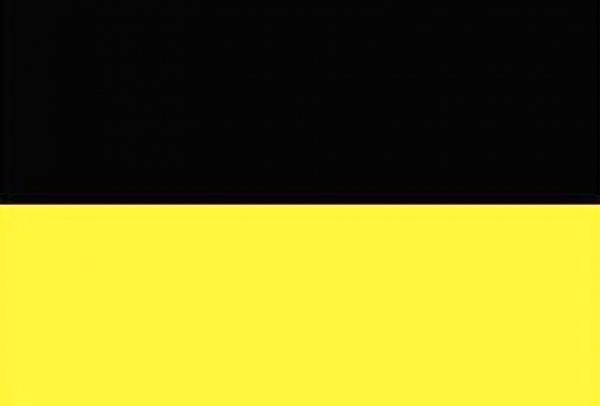 Flagge Fahne München schwarz-gelb Flagge 90x150 cm