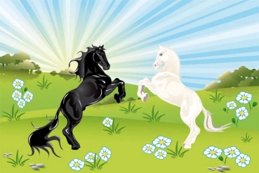 Tiere, 2 Pferde schwarz und weiß 60x90 cm Flagge Premium Querformat