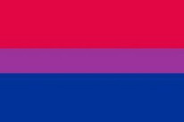 Flagge Fahne Bi Pride  90x150 cm