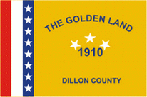 Flagge Fahne Dillon County (South Carolina) Premiumqualität