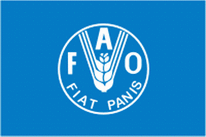 Flagge Fahne FAO Premiumqualität