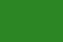 Flagge Fahne Grün grüne 90x150 cm