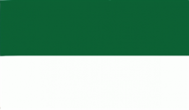 Riesen Fahne Grün/Weiß 3x5 Meter Schützenfest