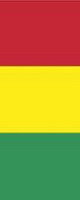Bannerfahne Guinea Premiumqualität