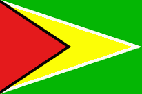 Flagge Fahne Guyana 90x150 cm