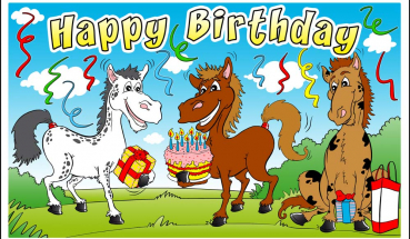 Flagge Fahne Happy Birthday Pferde Pony