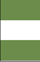 Flagge Fahne Hochformat Nigeria