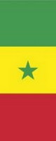 Bannerfahne Senegal Premiumqualität