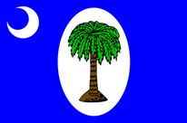 Flagge Fahne South Carolina 1861 Premiumqualität