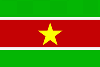 Flagge Fahne Surinam 90x150 cm