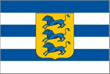 Tischflagge Tallinn 10x15cm mit Ständer Tischfahne Miniflagge