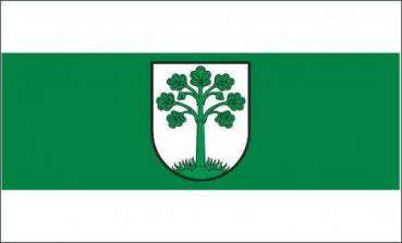 Tischflagge Telgte 10x15cm mit Ständer Tischfahne Miniflagge