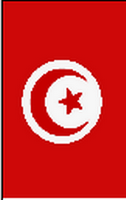Flagge Fahne Hochformat Tunesien