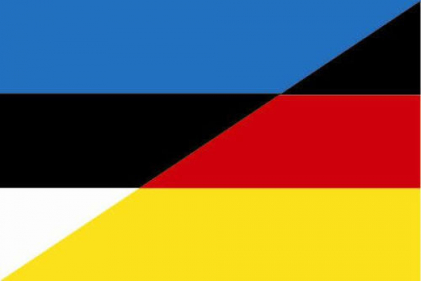 Flagge Fahne Estland-Deutschland Freundschaftsfahne 90x60 cm *P